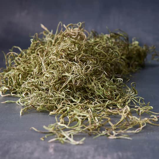 Ashland® Spanish Moss—Basil Green